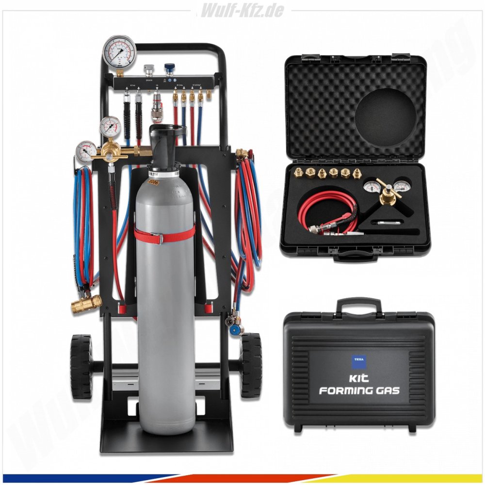 Texa Formiergas Lecksuch-Abdrückset inkl. Flaschenwagen